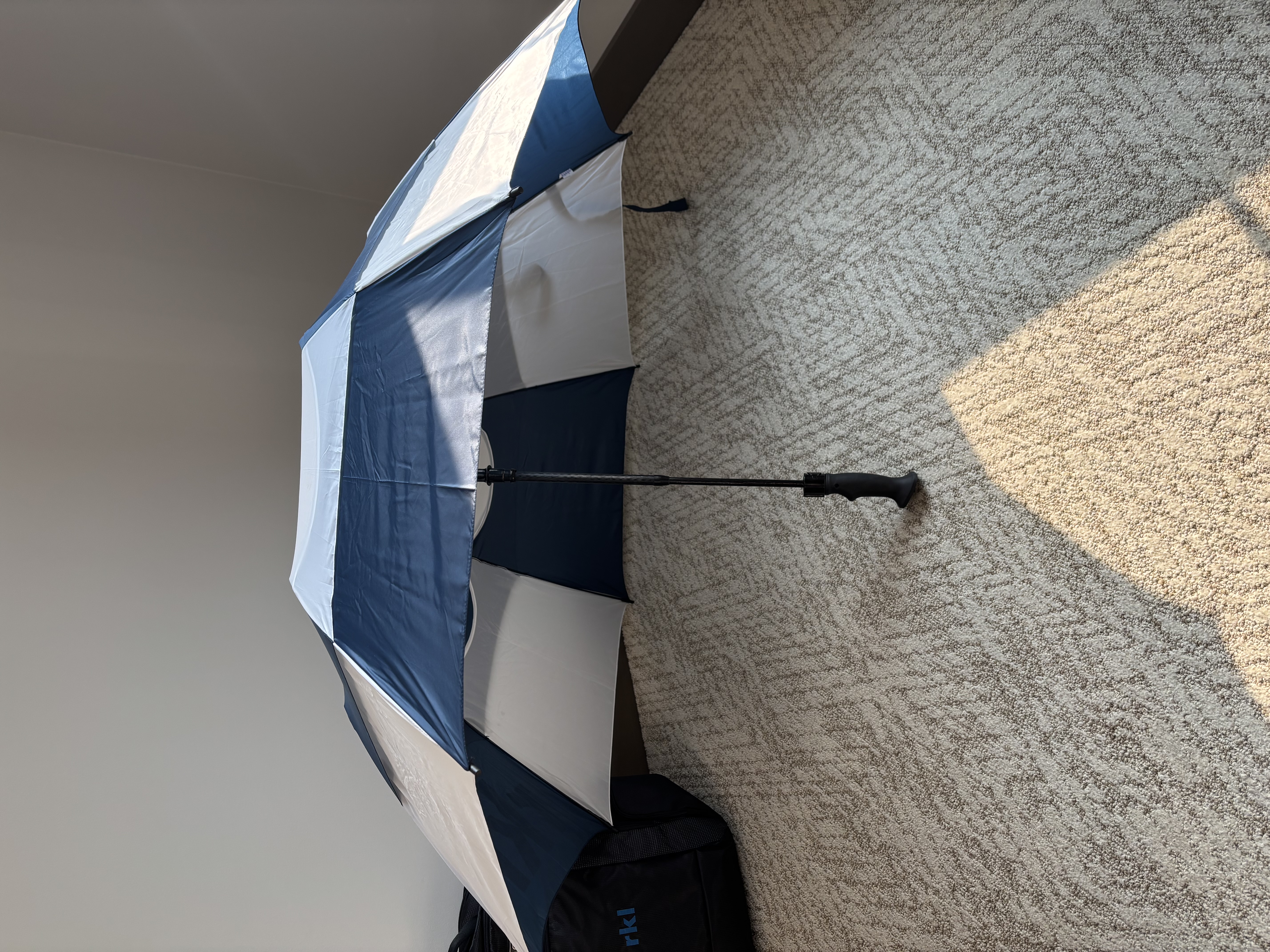 Umbrella 